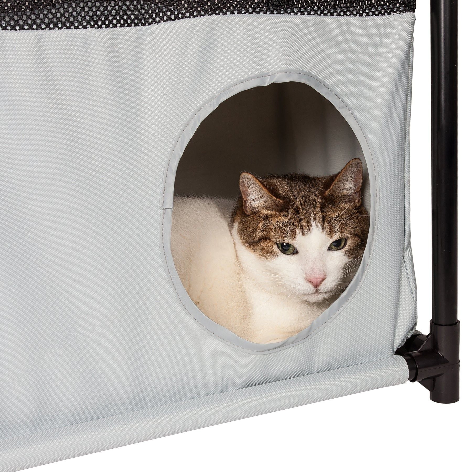 Kitty-Square Obstacle Soft Folding Sturdy Play-Active Travel