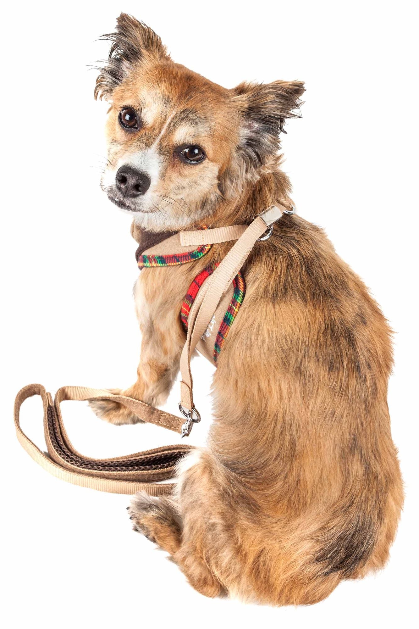 2-in-1 Mesh Reversed Adjustable Dog Harness-Leash