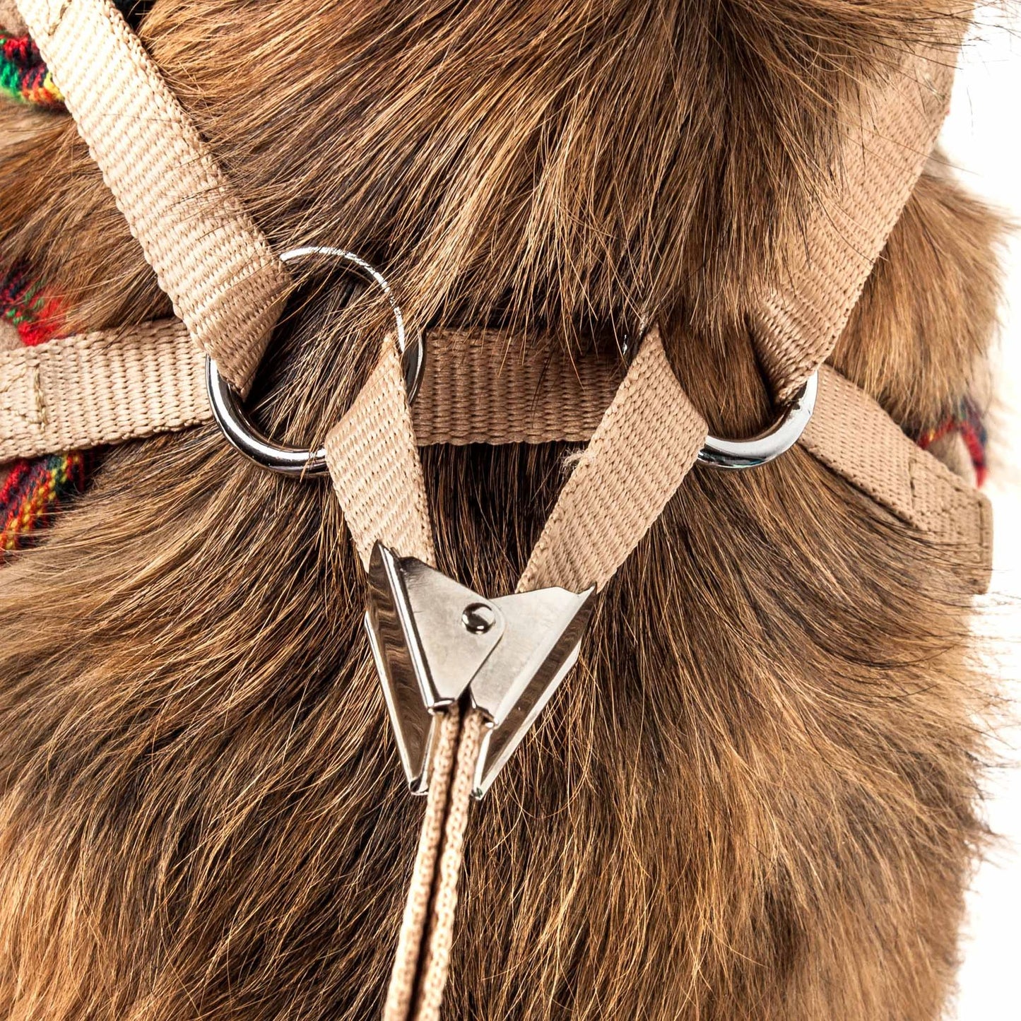 2-in-1 Mesh Reversed Adjustable Dog Harness-Leash