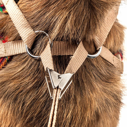 2-in-1 Mesh Reversed Adjustable Dog Harness-Leash