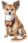 2-in-1 Mesh Reversed Adjustable Dog Harness-Leash