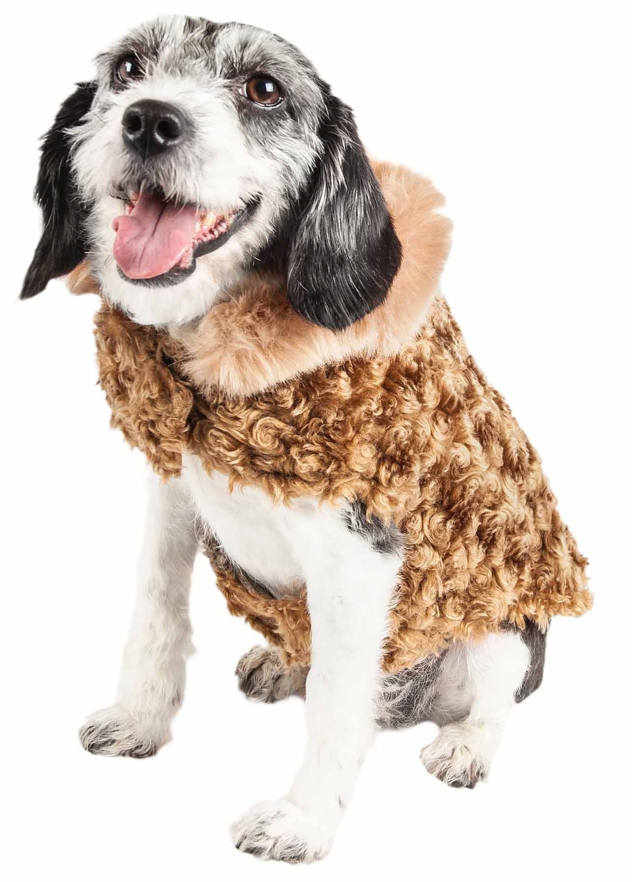 Shaggy Elegant Designer Dog Coat Jacket