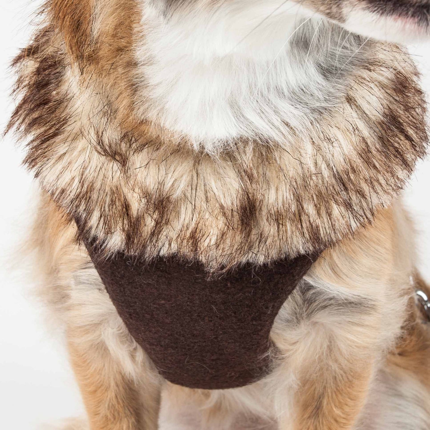 2-in-1 Mesh Reversed Adjustable Dog Harness-Leash