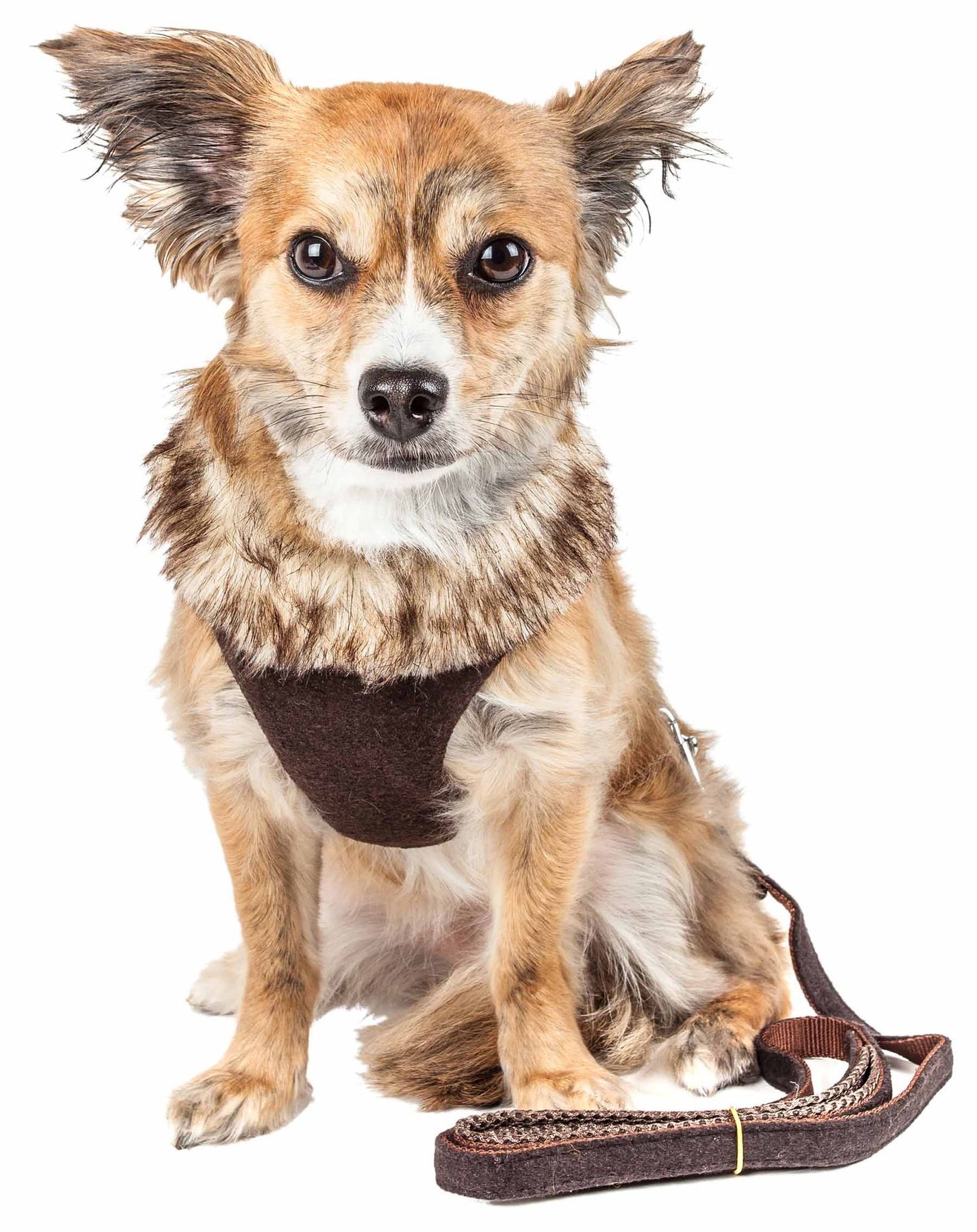 2-in-1 Mesh Reversed Adjustable Dog Harness-Leash