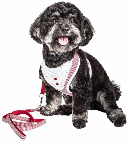 2-in-1 Mesh Reversed Adjustable Dog Harness-Leash