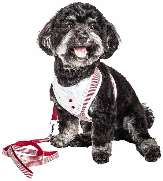 2-in-1 Mesh Reversed Adjustable Dog Harness-Leash