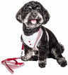 2-in-1 Mesh Reversed Adjustable Dog Harness-Leash