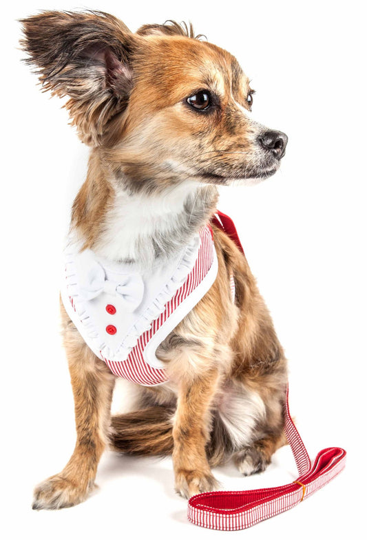 2-in-1 Mesh Reversed Adjustable Dog Harness-Leash