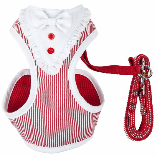 2-in-1 Mesh Reversed Adjustable Dog Harness-Leash