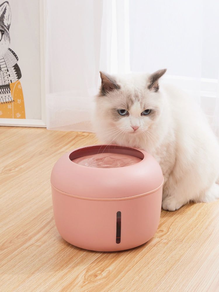 Ultra-Quiet Filtered Dog and Cat Fountain Waterer