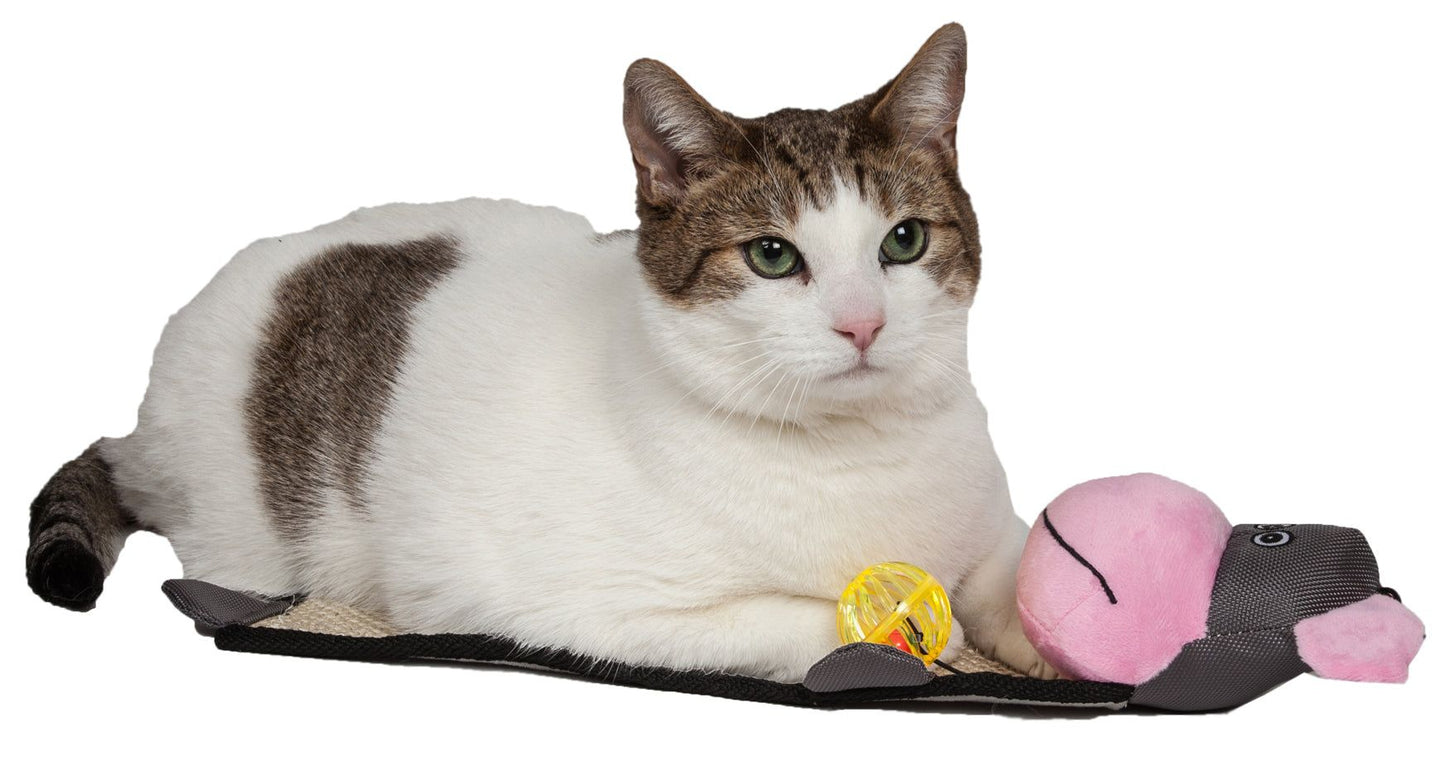 Paw-Pleasant Eco-Natural Sisal and Jute Hanging Carpet Kitty Cat