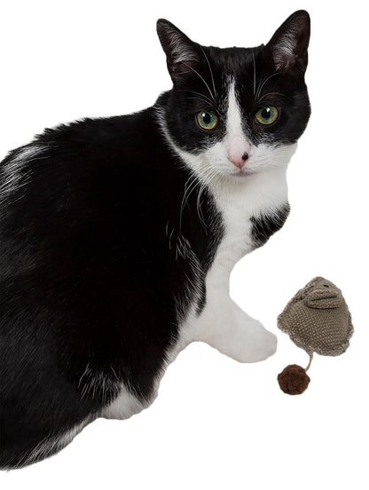Pompom Kitty Mouse Plush Catnip Cat Toy