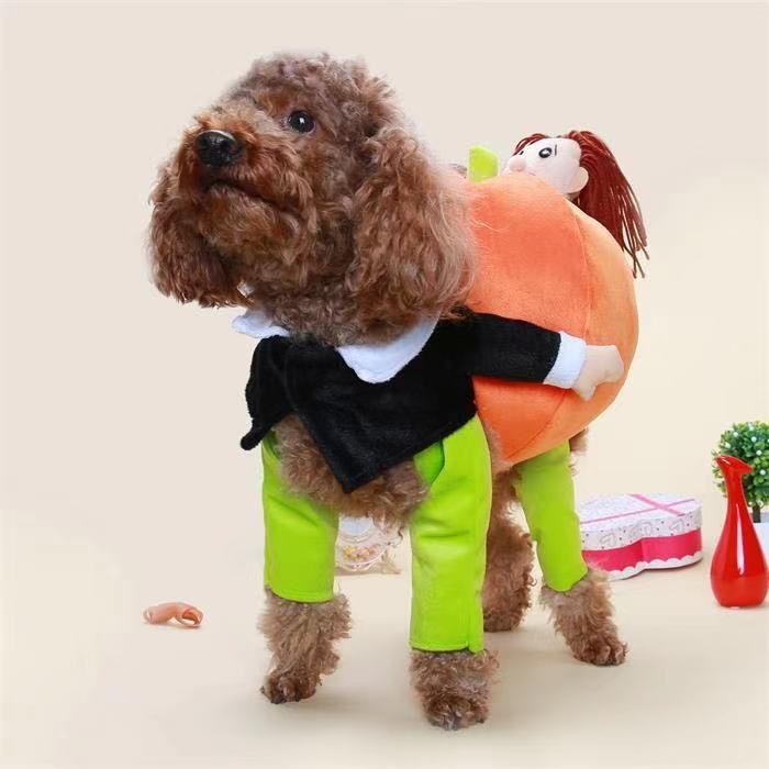 Halloween Pet Dog Costume