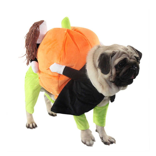 Halloween Pet Dog Costume