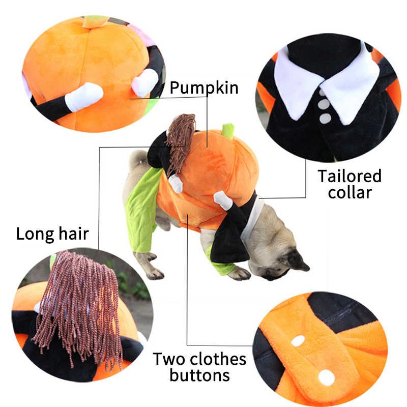 Halloween Pet Dog Costume