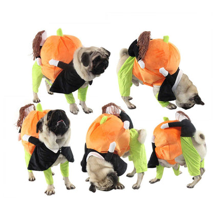 Halloween Pet Dog Costume