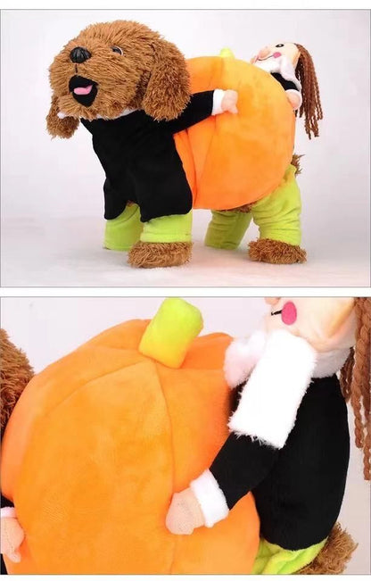 Halloween Pet Dog Costume
