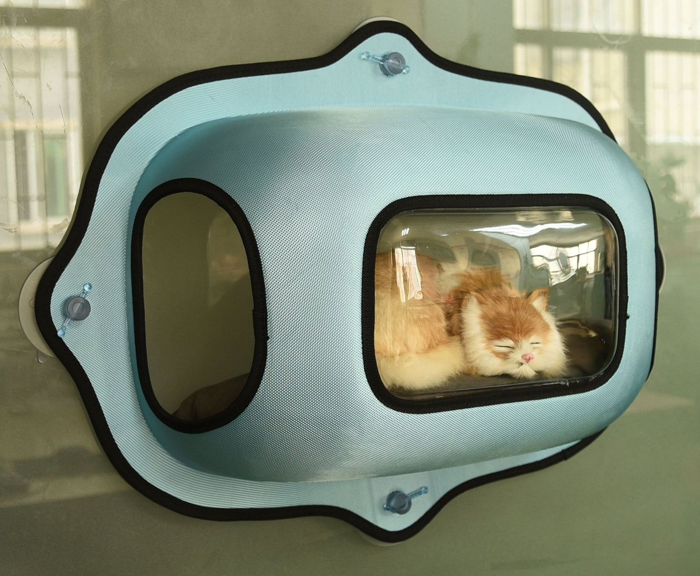 See-Through Suction Cup Kitty Cat Lounger and Bed
