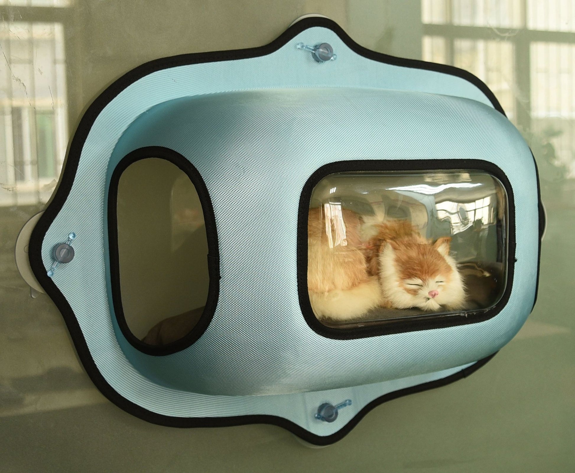 See-Through Suction Cup Kitty Cat Lounger and Bed