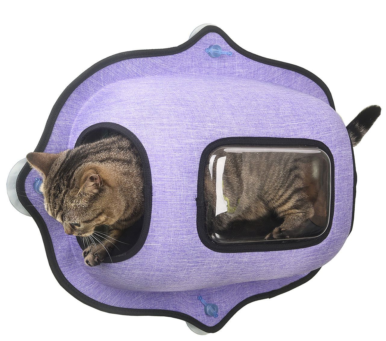 See-Through Suction Cup Kitty Cat Lounger and Bed
