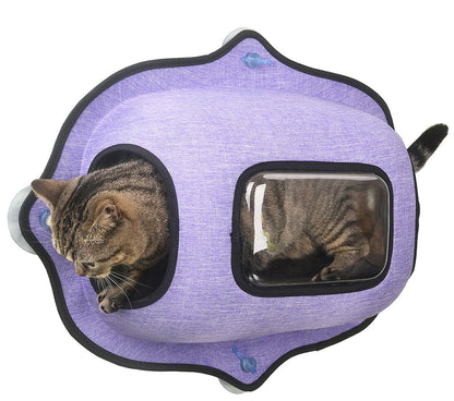 See-Through Suction Cup Kitty Cat Lounger and Bed