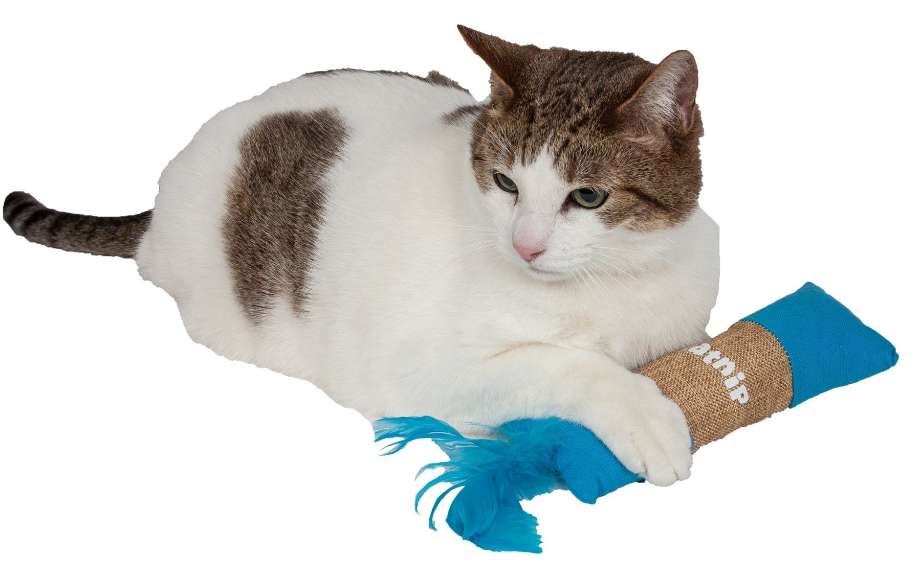 Rectangular Duffle Crinkle Plush Faux Fur Teaser Catnip Kitty Cat