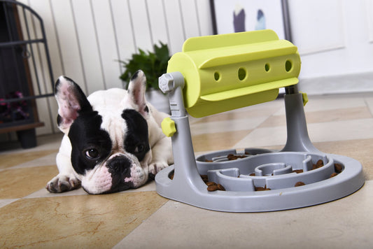 IQ Training Interactive Rotating Slow Dog Feeder