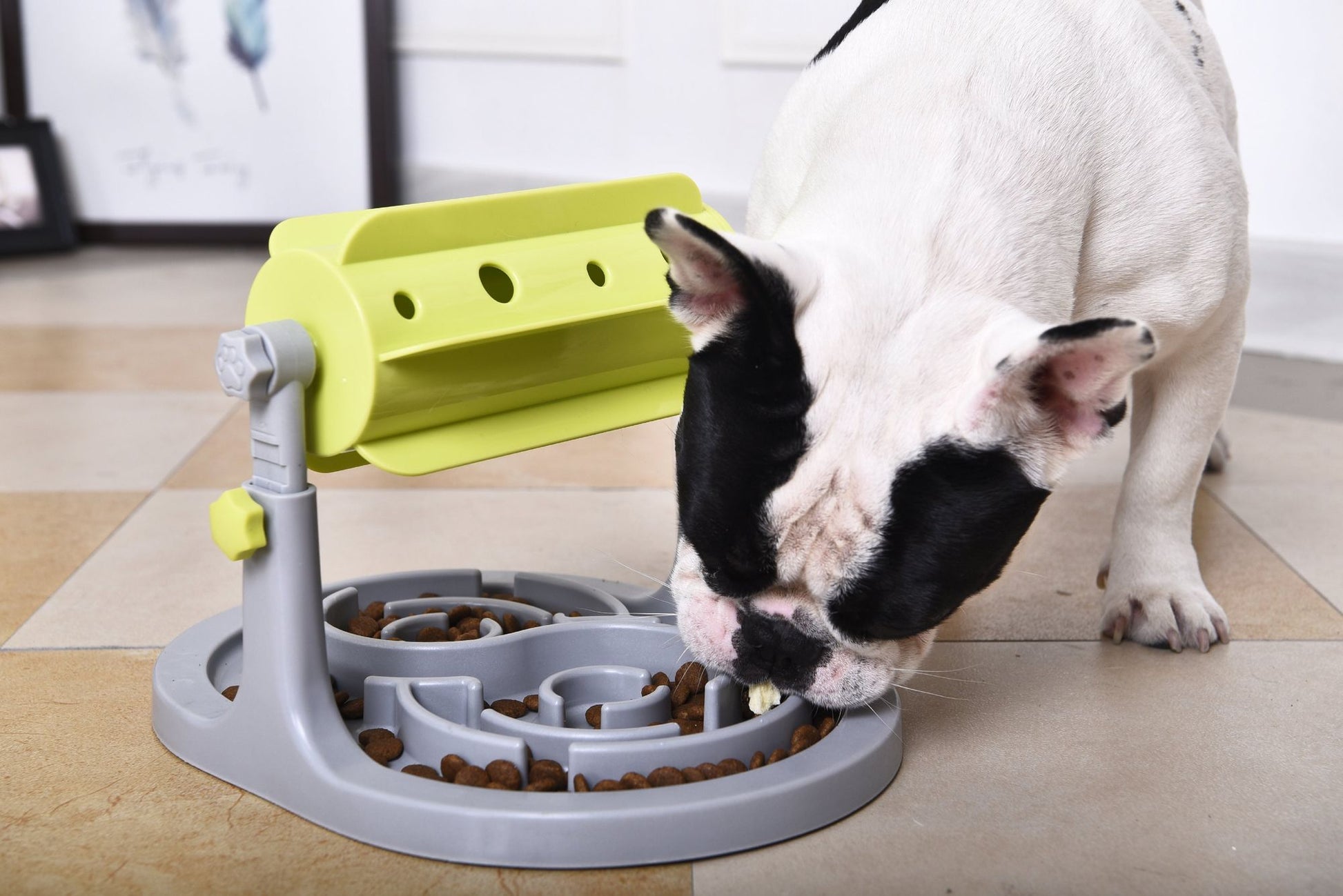 IQ Training Interactive Rotating Slow Dog Feeder