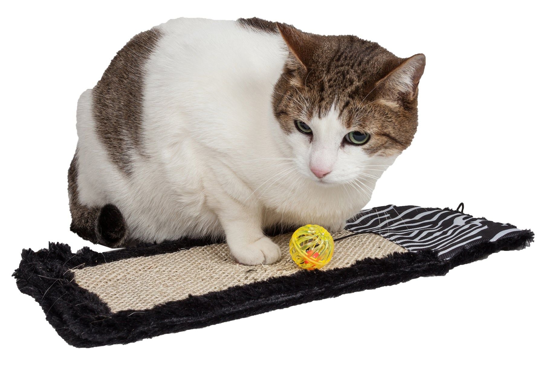 Eco-Natural Sisal and Jute Hanging Carpet Cat Scratcher with Toy