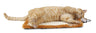 Eco-Natural Sisal and Jute Hanging Carpet Cat Scratcher with Toy
