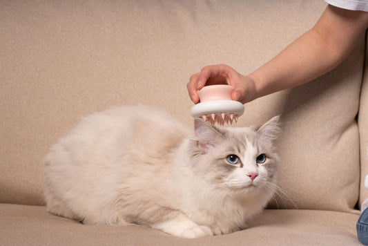 Handheld Bathing Brushing and Massaging Soft Flexible Grooming