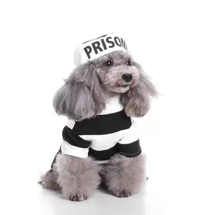 Striped Retro Inmate Prisoner Pet Dog Costume Uniform