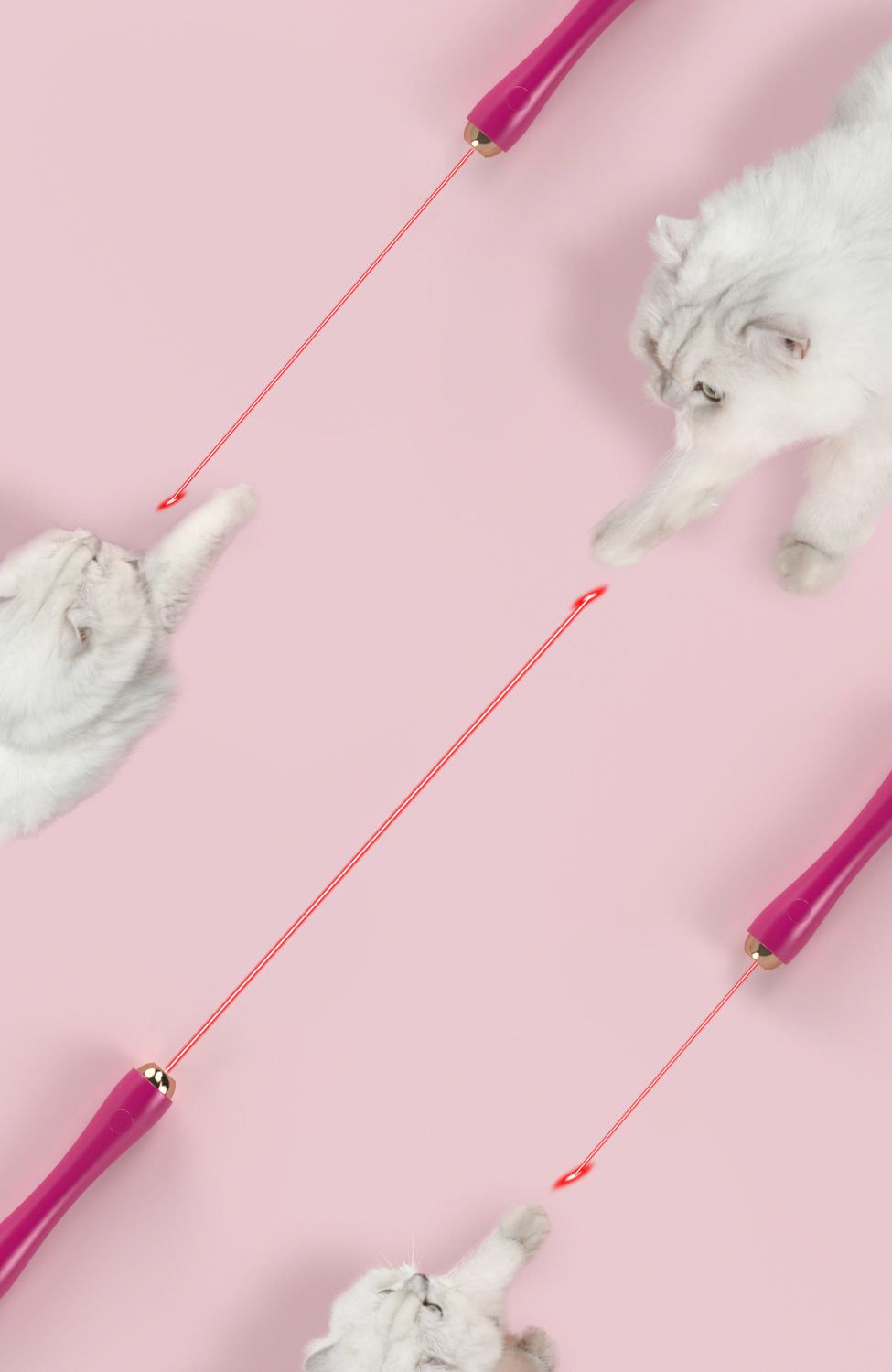 Customizeable and Extendable 10-in-1 Attachment Laser Cat Teaser