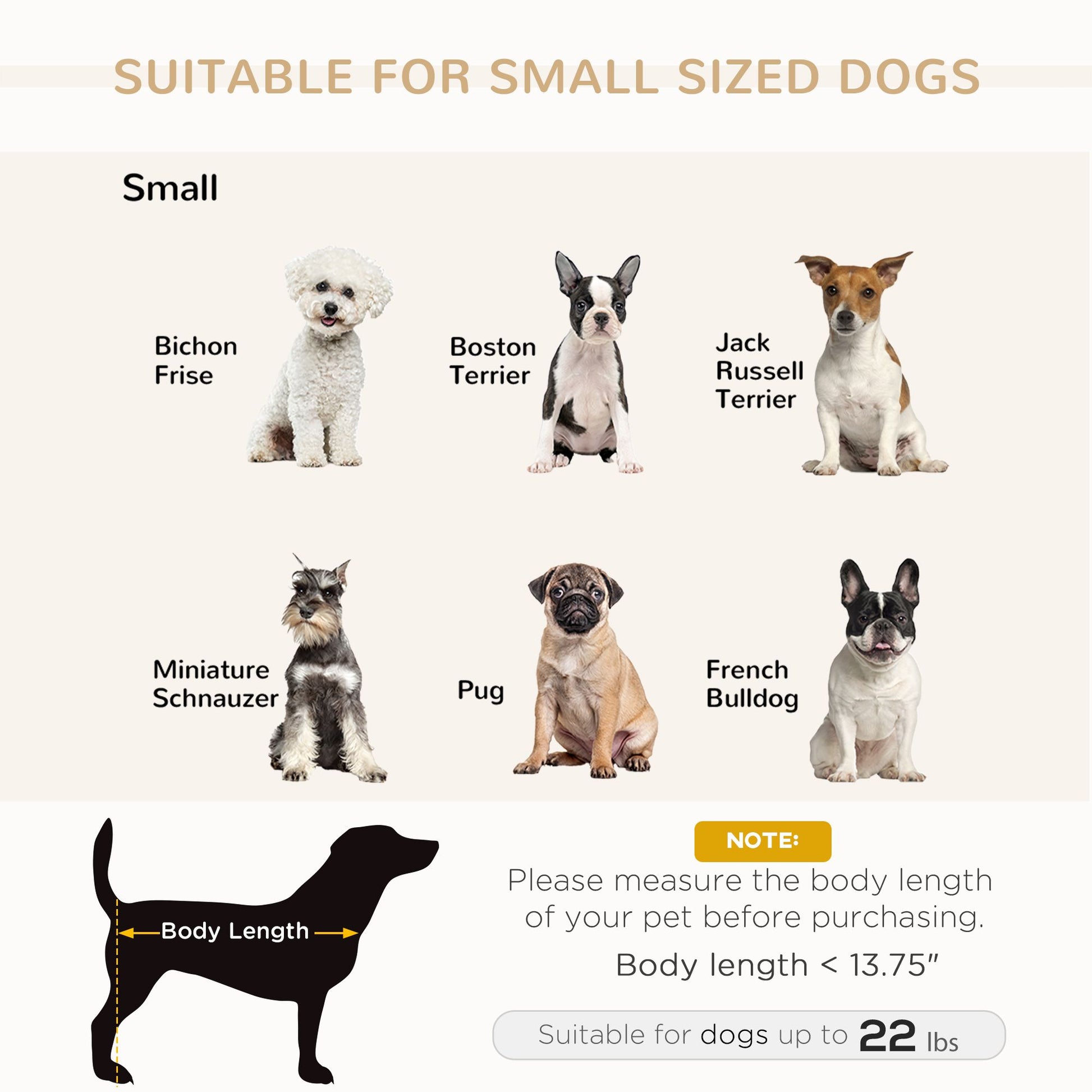 Pet Sofa Bed with Storage, Cushy Couch for Cats and Small Dogs
