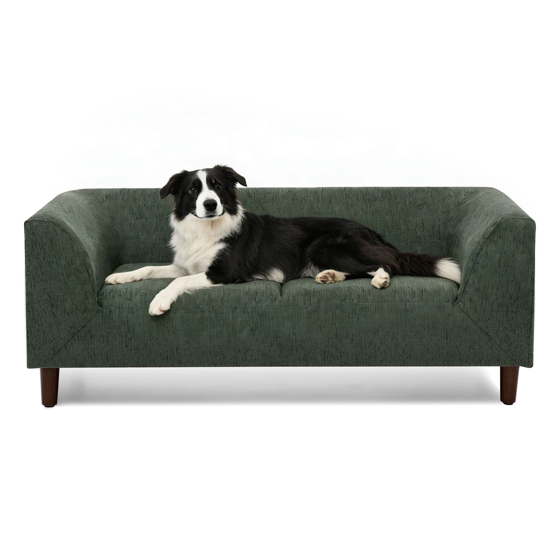 Pet Sofa with Backrest and Armrests, Modern Rectangular Pet Sofa