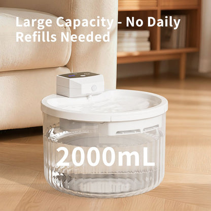 Pet Water Fountain, Large Capacity Automatic Cat Water Dispenser