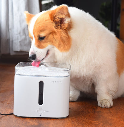 PETKIT Eversweet Smart Fountain Waterer