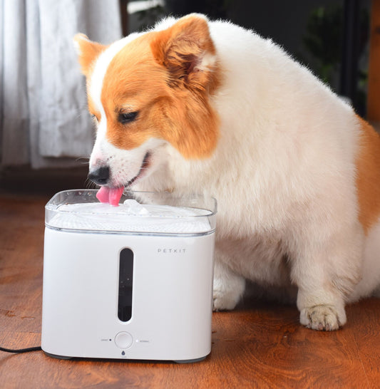 PETKIT Eversweet Smart Fountain Waterer