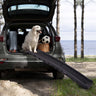 Portable Foldable Pet Ramp Climbing Ladder Suitable for Off-Road