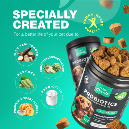 Dog Probiotic Chews with Pumpkin & Digestive Enzymes