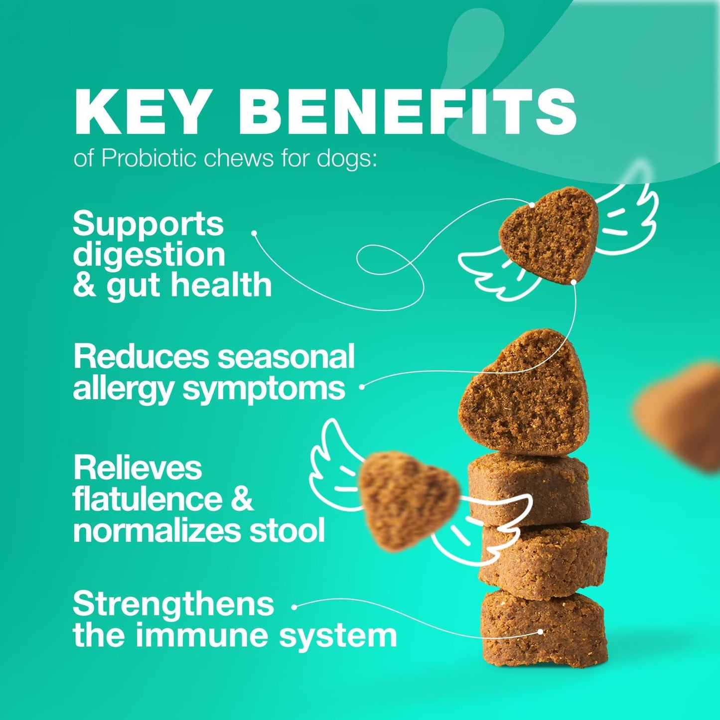 Dog Probiotic Chews with Pumpkin & Digestive Enzymes