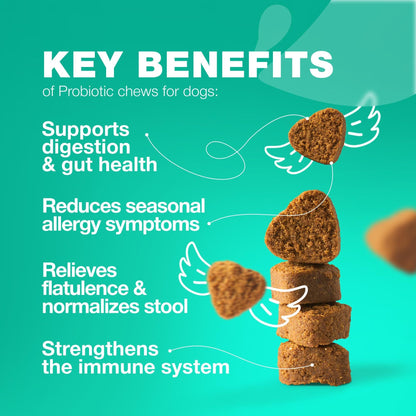 Dog Probiotic Chews with Pumpkin & Digestive Enzymes