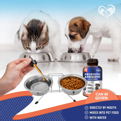 Probiotics & Prebiotics with Enzymes for Dogs & Cats