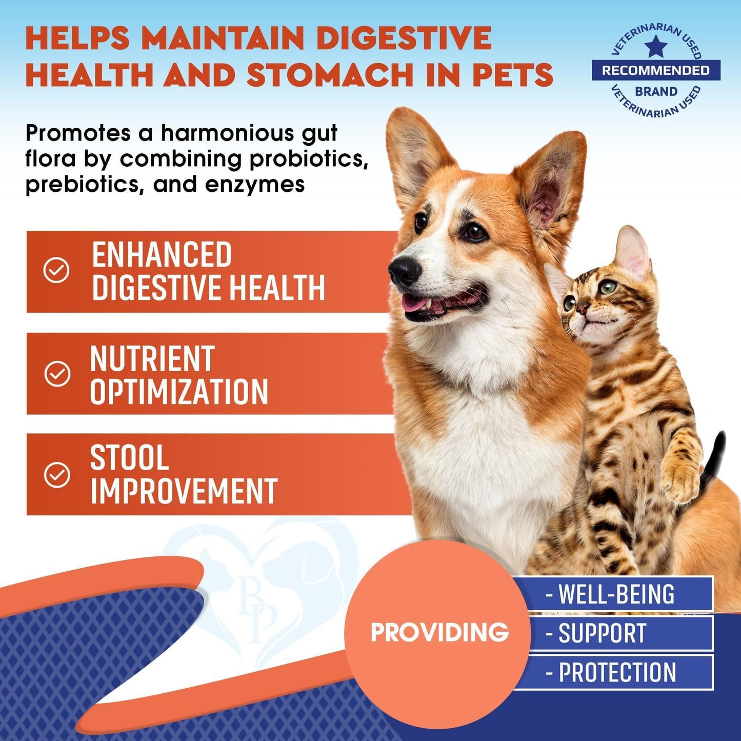 Probiotics & Prebiotics with Enzymes for Dogs & Cats