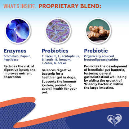 Probiotics & Prebiotics with Enzymes for Dogs & Cats