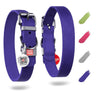 Waudog Purple Long Lasting Leather Dog Collar for Large Dogs Medium
