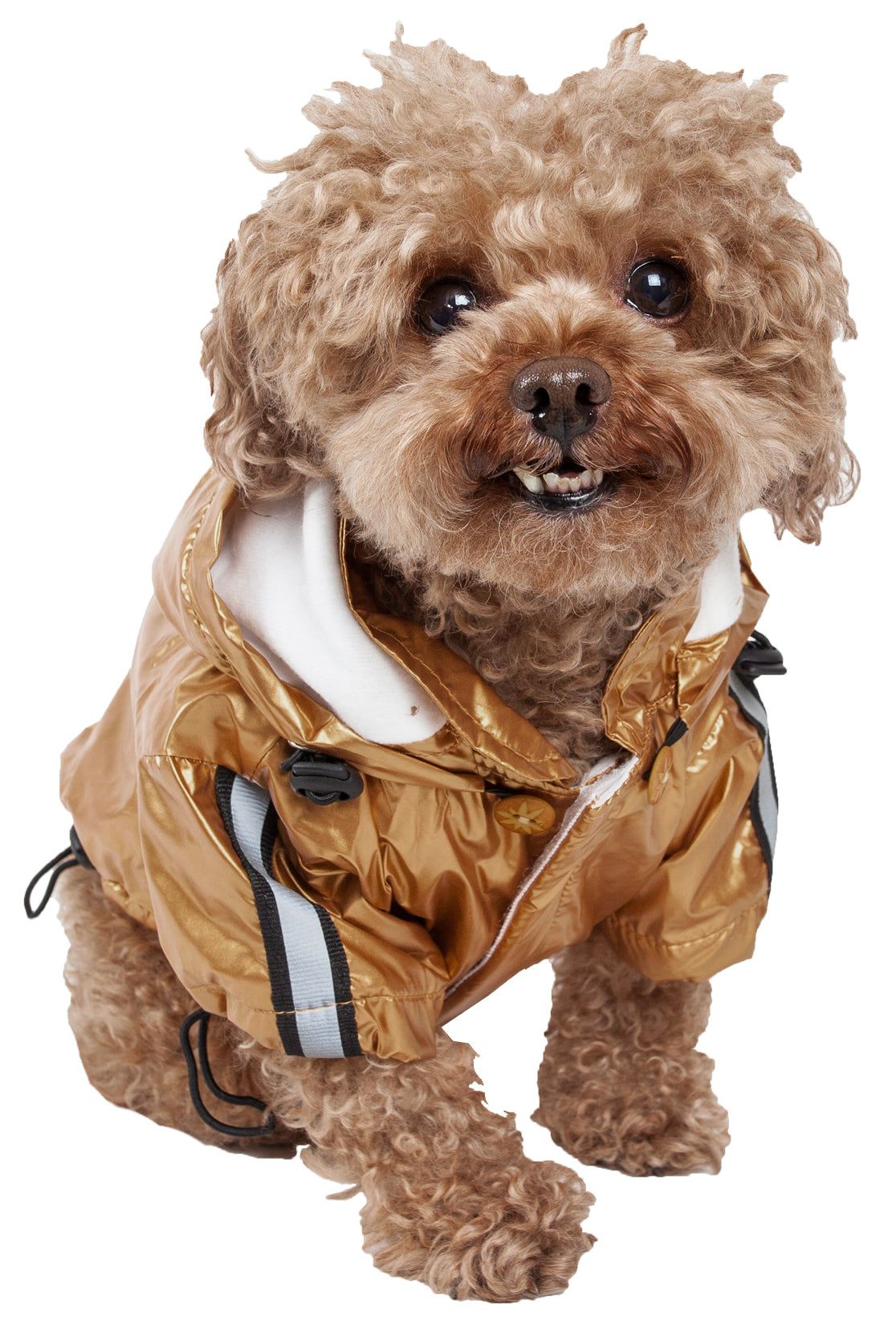 Reflecta-Sport Adjustable Reflective Weather-Proof Pet Rainbreaker