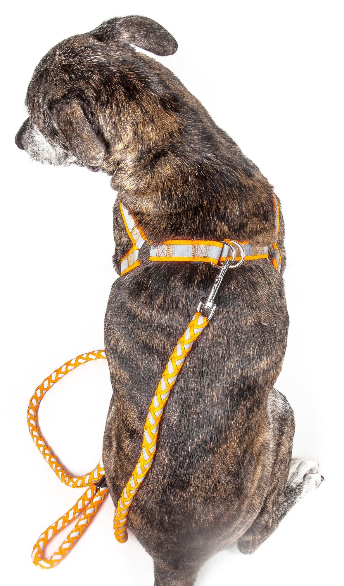 Reflective Stitched Easy Tension Adjustable 2-in-1 Dog Leash