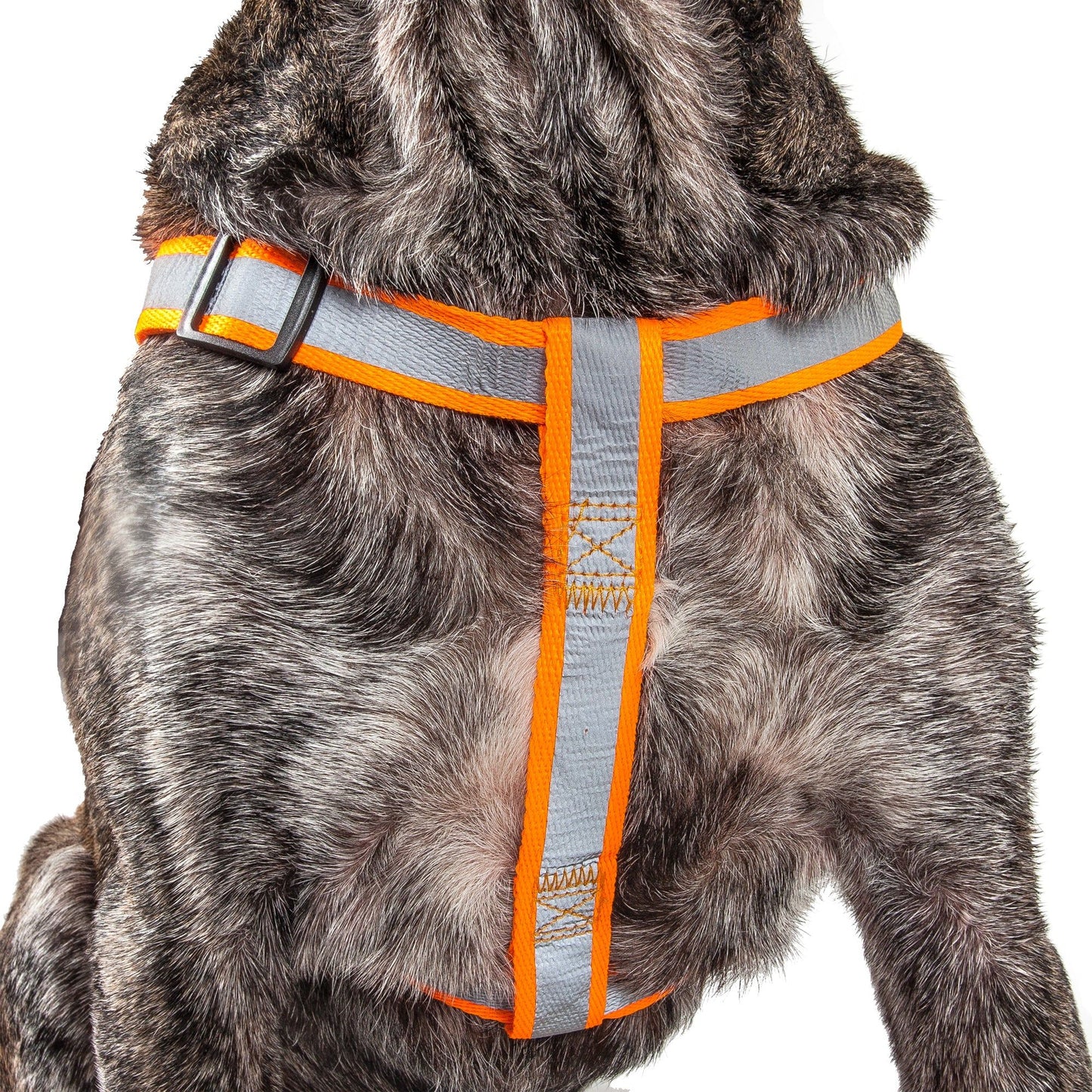 Reflective Stitched Easy Tension Adjustable 2-in-1 Dog Leash