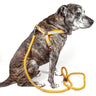Reflective Stitched Easy Tension Adjustable 2-in-1 Dog Leash